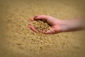 Photo (3)