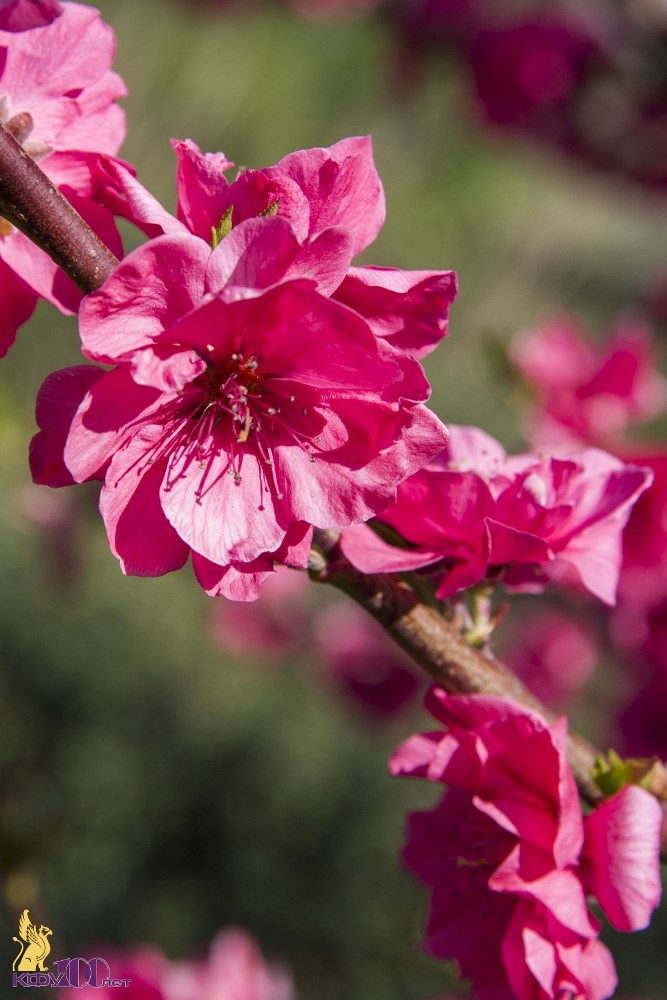 Фото00003