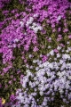 Фото00024