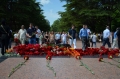 DSC_1231 (1)