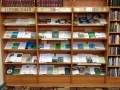 книжно-иллюстративная выставка «Заповедный мир природы»