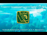 vystavka