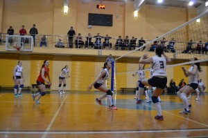 voly4